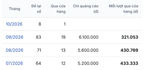 Báo cáo của cửa hàng mẫu, số liệu giả
